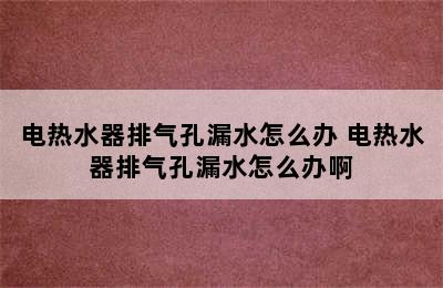 电热水器排气孔漏水怎么办 电热水器排气孔漏水怎么办啊